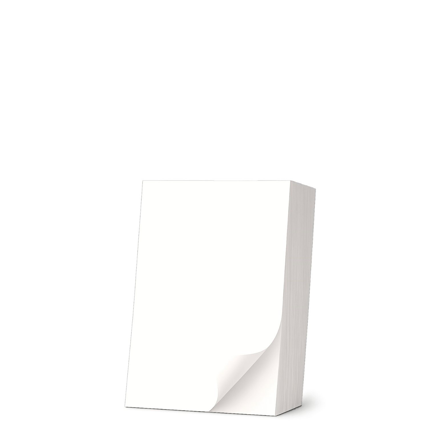 Einzeletikett 100 x 170 mm - 1000 Etiketten