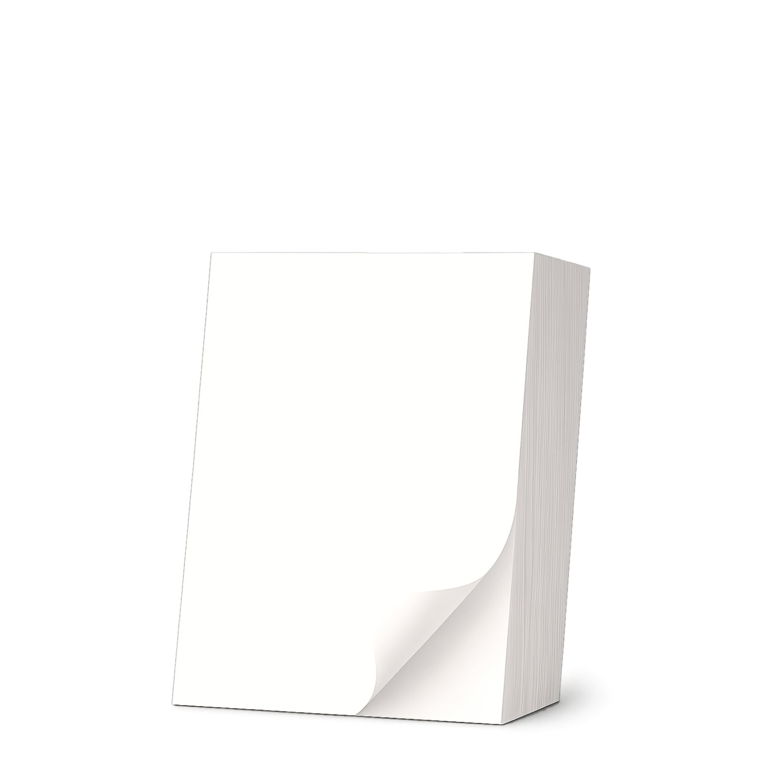 Einzeletikett 148 x 210 mm - 1000 Etiketten